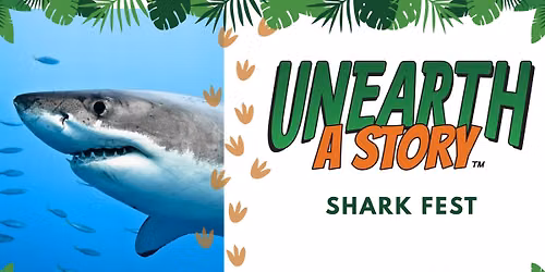 Shark Fest