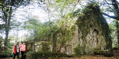 Autumn Mists, Wellbeing Walks in Cuilcagh Lakelands Geopark