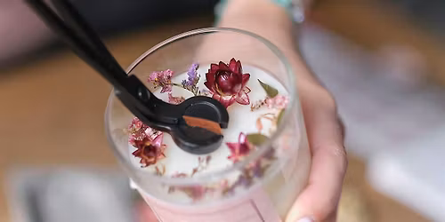 Family Farmacy: Solstice Stories