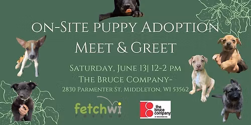 On-Site Puppy Adoption Event 6\/13!