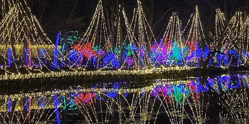 Gals Night Out - Rotary Gardens Light Show