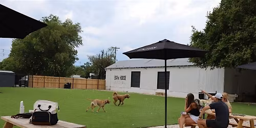 Pups Against The Pr*son Industrial Complex