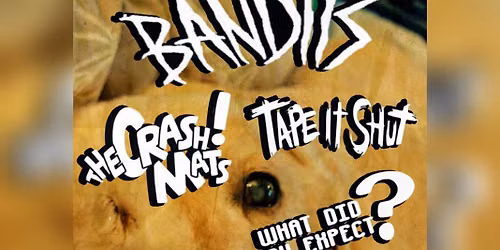 BANDITS, THE CRASH MATS, TAPE IT SHUT, WHAT DID YOU EXPECT