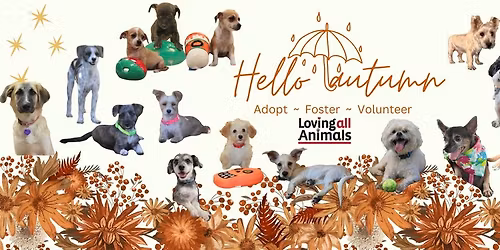 Spay-Ghetti, No Balls 2025