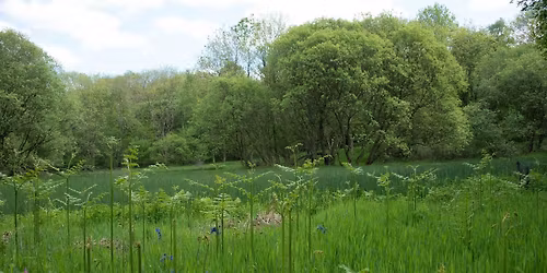 Durham Wildlife Trust Supporters Woodland Walk