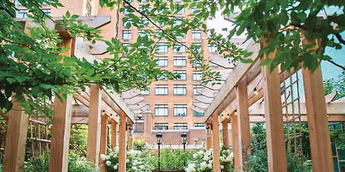 Dogpark with Hotel Fiction