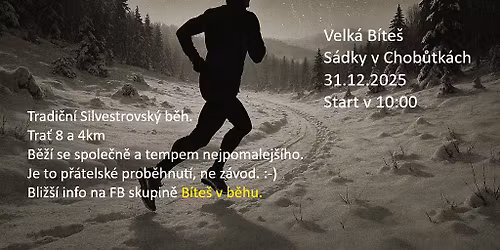 Silvestrovsk\u00fd b\u011bh 2025