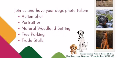 Dog Photography Day