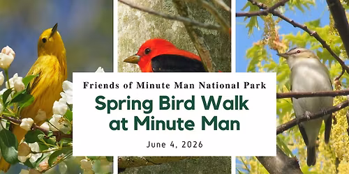 Spring Bird Walk at Minute Man