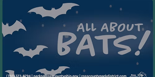 All About Bats!