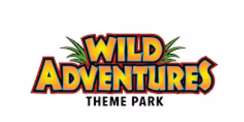 Undivided Connect Group- Wild Adventures Fun Day