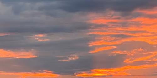 Foggs Water Taxi Sunset Cruise ~ Seagrass