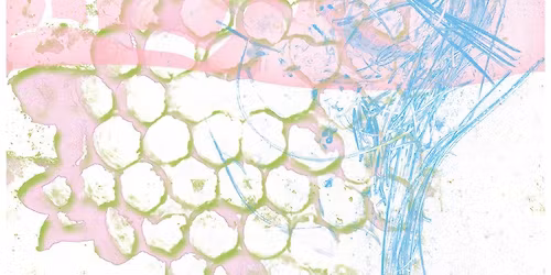 La La Delivery, Past Dog Beach, Leisure, & Dyzioek