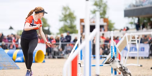 Agilitykurs med Ina Himle