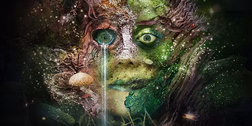Bryony Kimmings - Bog Witch