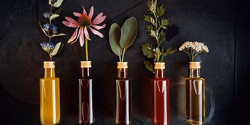 Scent for the Senses: Essential Oils to Enhance Wellbeing