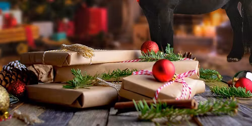 \u2744\ufe0f\u2603\ufe0f christmas show winter woolies by havana shows inhand and ridden show #2 points league