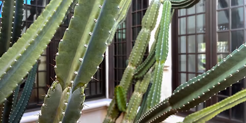 Earth Day | Rooted in Story