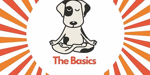 The Basics (at Mr. Pet's)