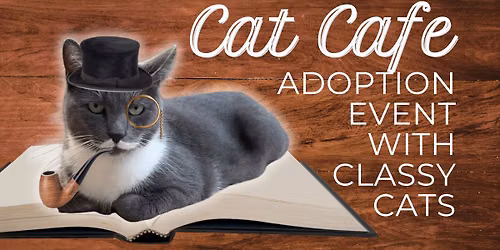 Cat Cafe with the Classy Cats