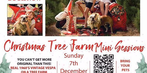Christmas Tree Farm Mini Sessions