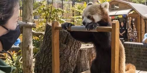  Animal Training Skills Workshop