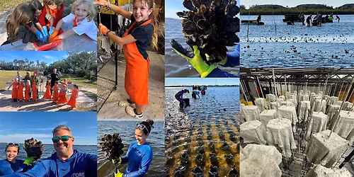 Oyster Reef Building Bonanza Paddle Out