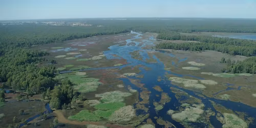 Parking Shen Yun - Evans