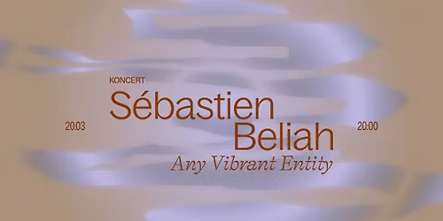 S\u00e9bastien Beliah - Any Vibrant Entity