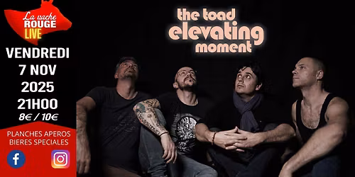 The Toad Elevating Moment (Rock Psych\u00e9d\u00e9lique) - La Vache Rouge LIVE