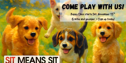 AKC S.T.A.R. Puppy Class - 4 Saturdays