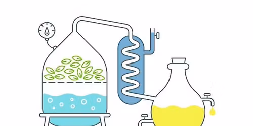 The Science of Essential Oils