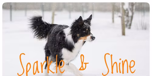 Sparkle & Shine dogdance wedstrijd ✨️🐾
