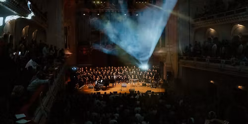 Die Hamburger Goldkehlchen Hamburg Tickets