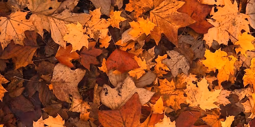 Bruktmarked i Loen 15.november