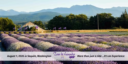 Tour de Lavender 2026