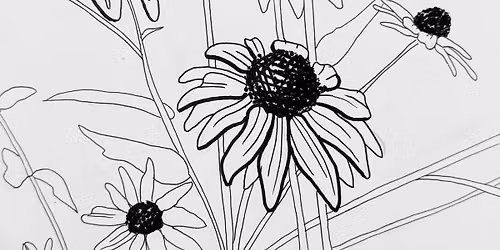 Bold Botanicals: Learn how to draw contours