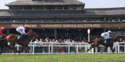 Blokes Only Race Trip to Ripon SOLD OUT