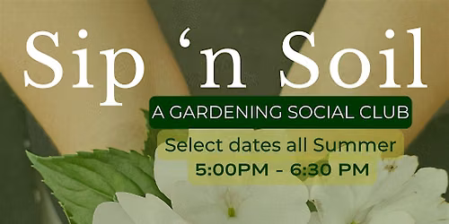 Sip 'N Soil | Summer Succulents