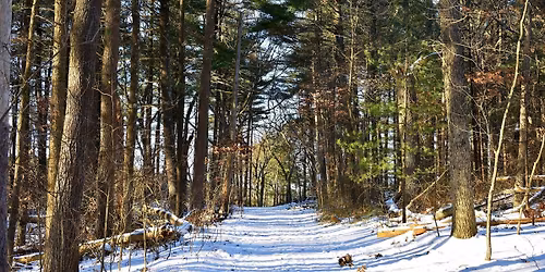Stroll in the Fells with Carol and Jeff