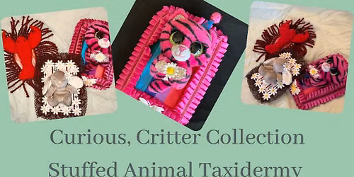 Creative Critter Collection & Stuffed Animal Taxidermy