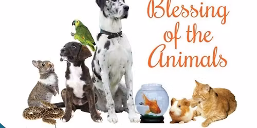 Blessing of the Animals 