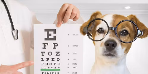 OFA CAER Eye Clinic - registrations are closed