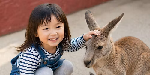 Kiwi Klub Zoo (ages 5-11)