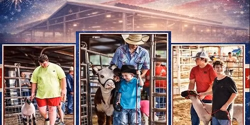 Fannin County Fair Champion Drive Livestock Show