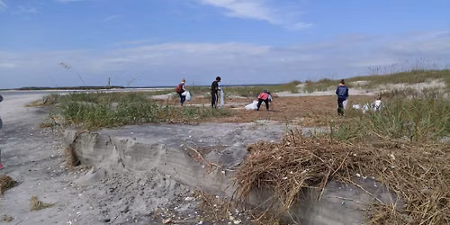 Bear Island Beach Clean-up
