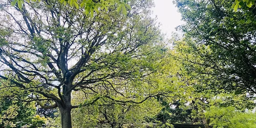 Outdoor Sing Sat 15th Nov 11am \u00a35