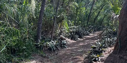 Trail Trimming 