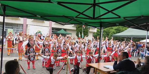 VIII \u041d\u0424\u0424"\u0417\u041b\u0410\u0422\u041d\u0418 \u041d\u0418\u0428\u041a\u0418"