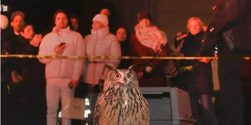 WILD INSIDE - Flaco the Owl documentary